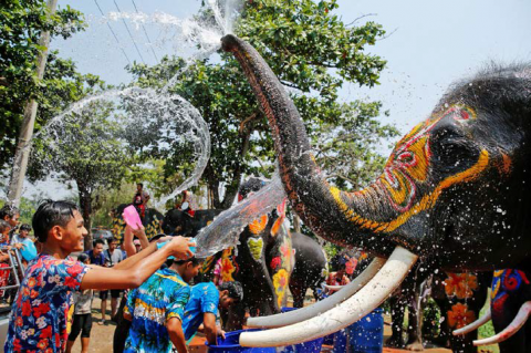 Las Peleas de Agua y el Agua Viviente
