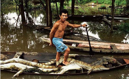 Tarzan y Rambo para el reino