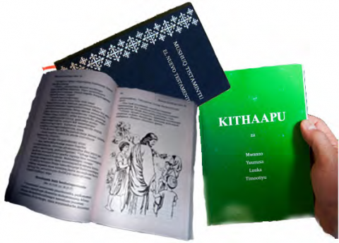 Traducción biblica