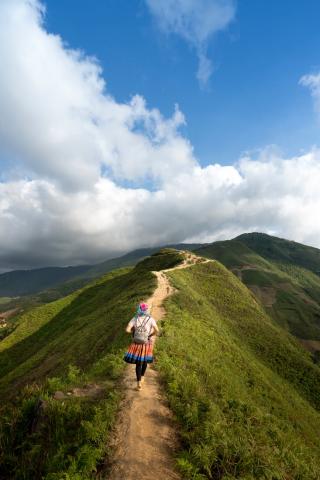 camino